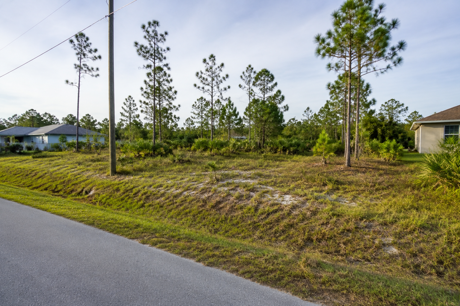 Palm Bay infill lot showing paved access, drainage, vegetation, and nearby utilities
